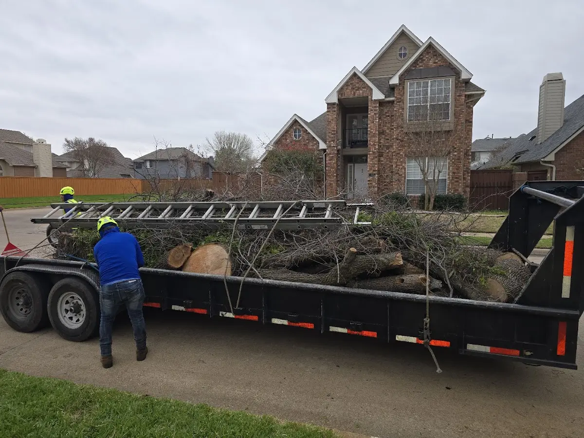 Expert Tree Fertilization with proper safety equipment in Glenview